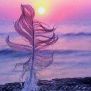 Meet your Posher, Jackson